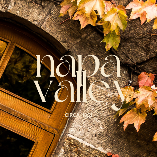 Napa Valley fragrance oil with sun-drenched vineyard and ripe Cabernet grape inspired visuals for artisan candle making - The WanderLab Co.