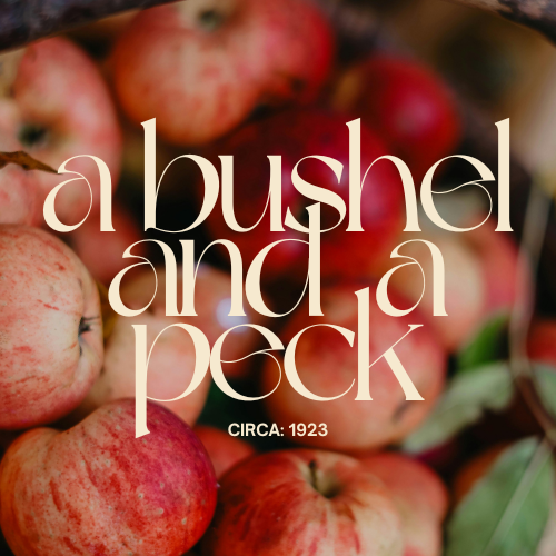 A Bushel and a Peck fragrance oil with fresh red apples for candle making - The WanderLab Co.