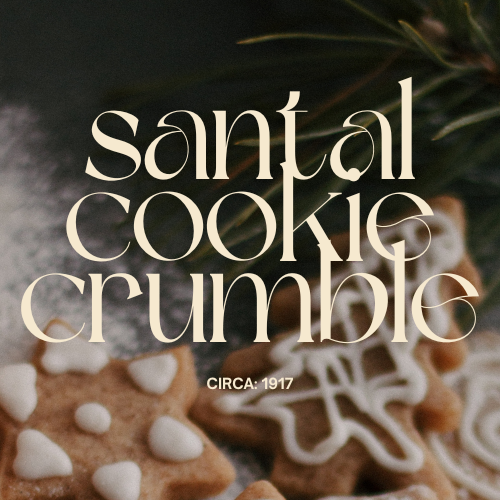 Santal Cookie Crumble fragrance oil with luxury gourmand and warm bakery inspired visuals for artisan candle making - The WanderLab Co.