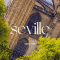SEVILLE // Artisan Grade Fragrance Oil