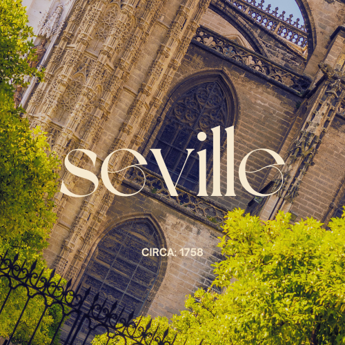 SEVILLE // Artisan Grade Fragrance Oil