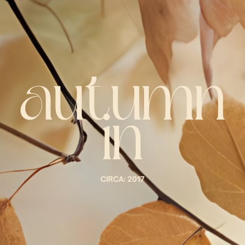 AUTUMN IN // Artisan Grade Fragrance Oil
