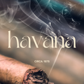 Havana fragrance oil with vintage tobacco and tropical spiced inspired visuals for artisan candle making - The WanderLab Co.