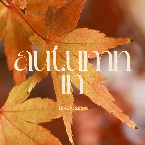 AUTUMN IN // Artisan Grade Fragrance Oil