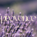 Provence fragrance oil with French countryside lavender and herbal botanical visuals for artisan candle making - The WanderLab Co.